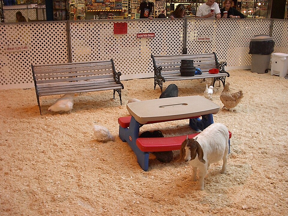 Dierenweide