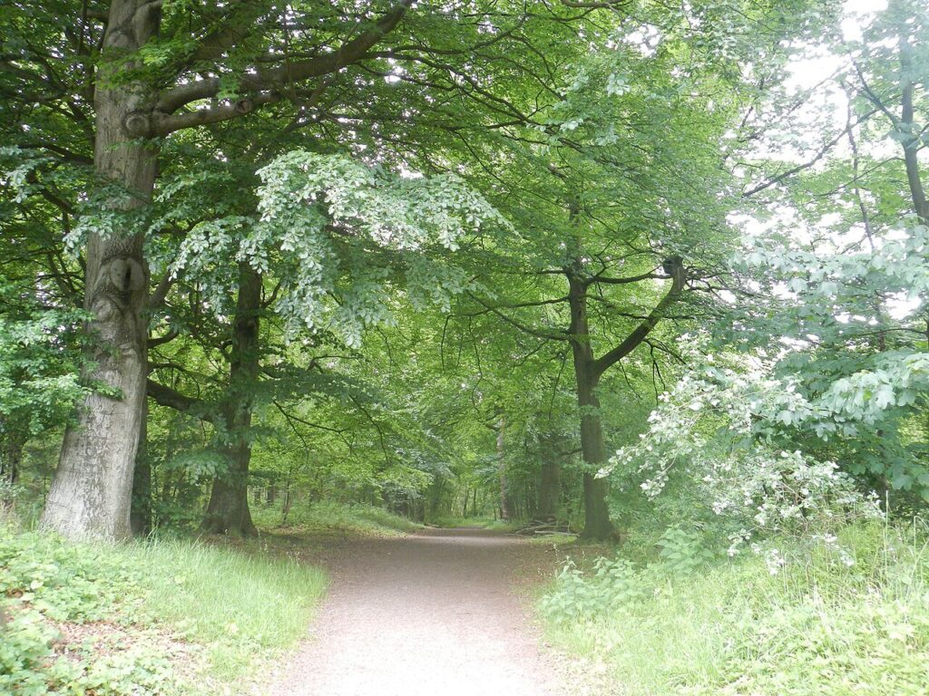 Mid Winter Wardlo Wandeltocht in Barneveld